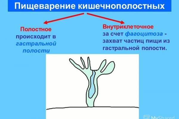 Поставь даркнет